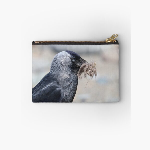 Item preview, Nesting jackdaw  designed and sold by GreyFeatherPhot.