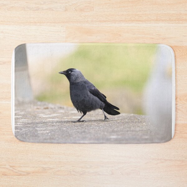 Item preview, Urban jackdaw designed and sold by GreyFeatherPhot.