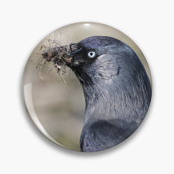 Item preview, Nesting season designed and sold by GreyFeatherPhot.