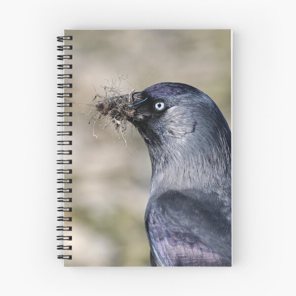 Item preview, Nesting season designed and sold by GreyFeatherPhot.