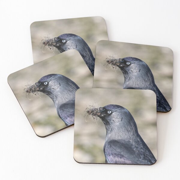 Item preview, Nesting season designed and sold by GreyFeatherPhot.