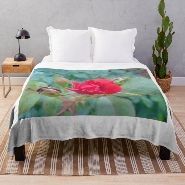 Item preview, Red Rose Ready to Bloom designed and sold by LittleDeerPhoto.