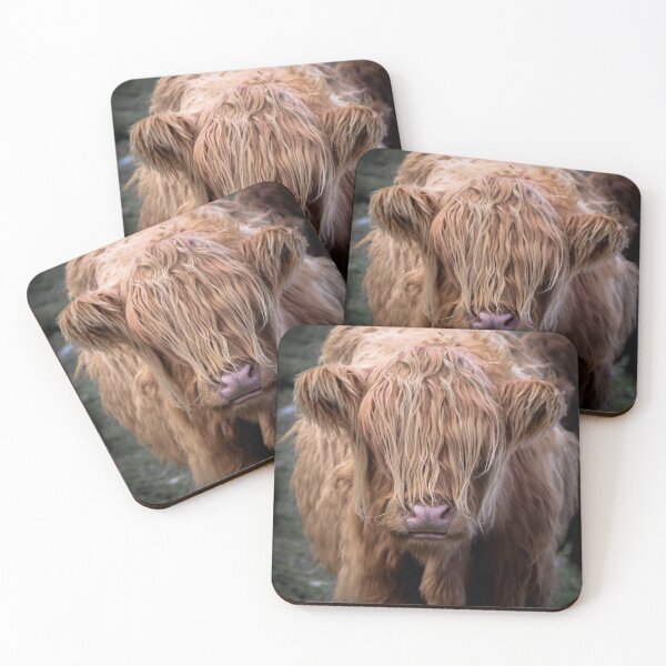 Item preview, Young Highland Cow designed and sold by Roz Goodman.