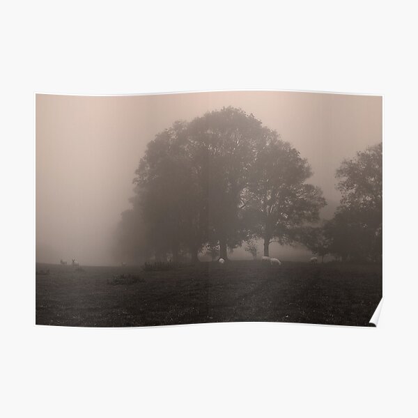 The Hidden Tree line Poster