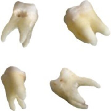 Artwork thumbnail, teeth sticker pack (4) by livvy braam