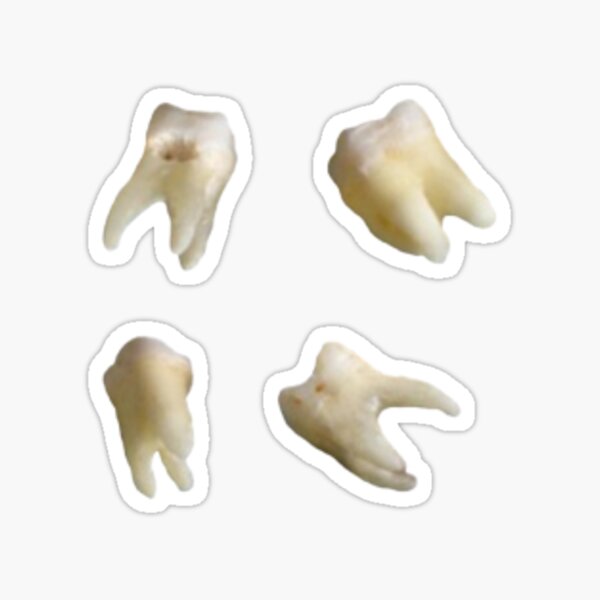 teeth sticker pack (4) Sticker