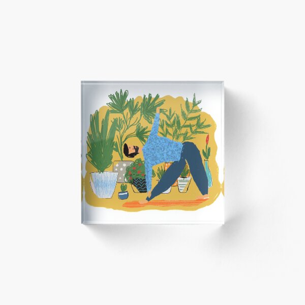 Triangle pose Acrylic Block