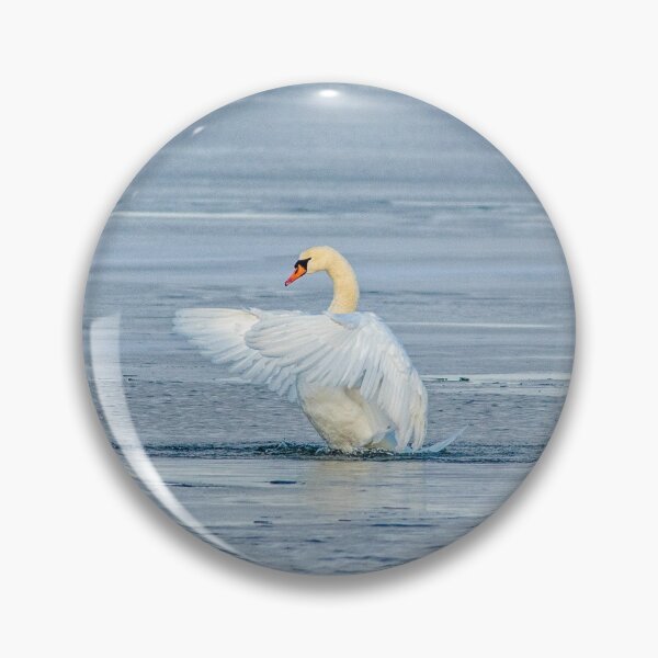 Item preview, Swan Conducting  designed and sold by KennyBImages899.