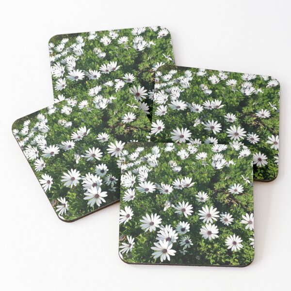 Item preview, White African Daisies designed and sold by meleyart.