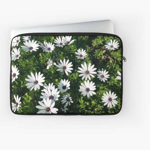White African Daisies Laptop Sleeve