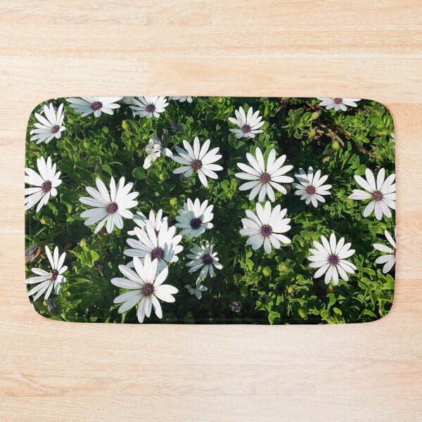 Item preview, White African Daisies designed and sold by meleyart.
