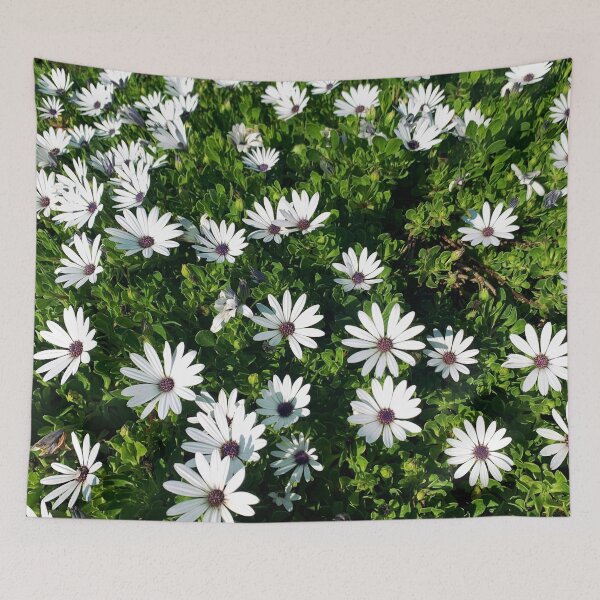 Item preview, White African Daisies designed and sold by meleyart.
