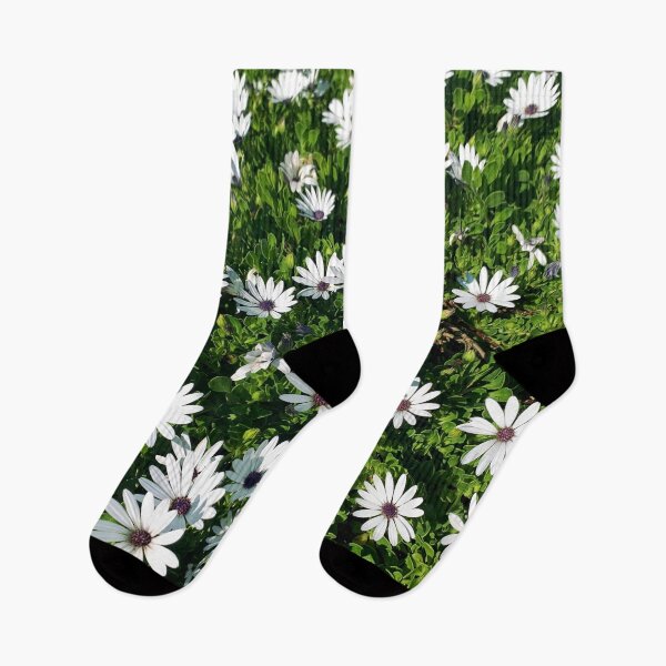 Item preview, White African Daisies designed and sold by meleyart.
