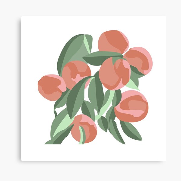 peach trees Canvas Print
