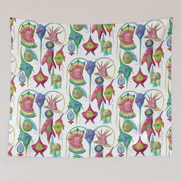 Item preview, Ernst Haeckel Peridinea Plankton Algae Rainbow designed and sold by aimeewilson.