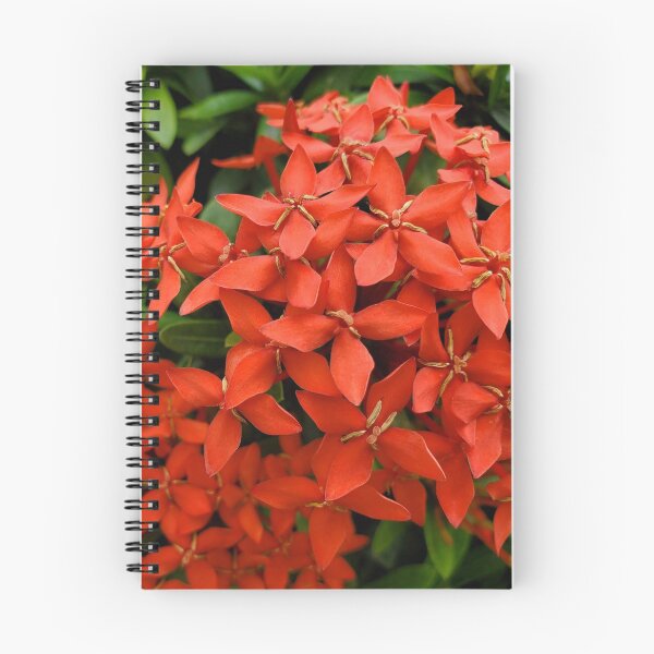 Item preview, Beautiful red summer flowers designed and sold by KarlaHR.