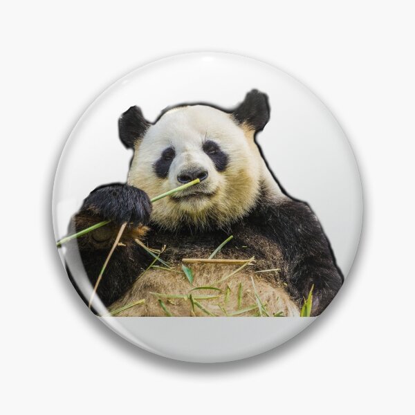 Item preview, Panda designed and sold by danielasdesigns.