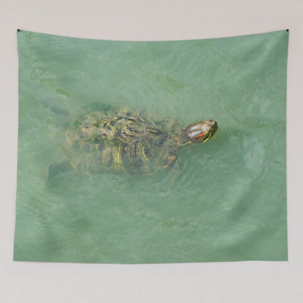 Item preview, Red-Eared Slider designed and sold by KensLensDesigns.