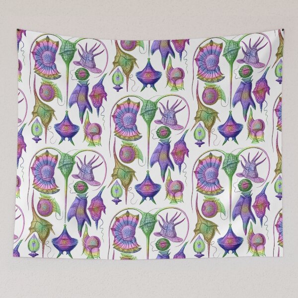 Item preview, Ernst Haeckel Peridinea Plankton Algae Rainbow Cool designed and sold by aimeewilson.