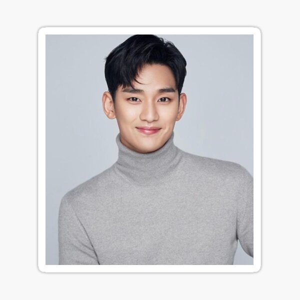 Kim soo hyun Sticker