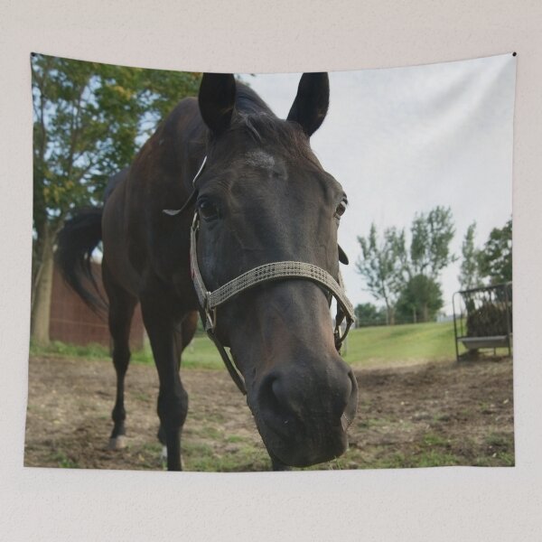 Item preview, stallion  designed and sold by KensLensDesigns.