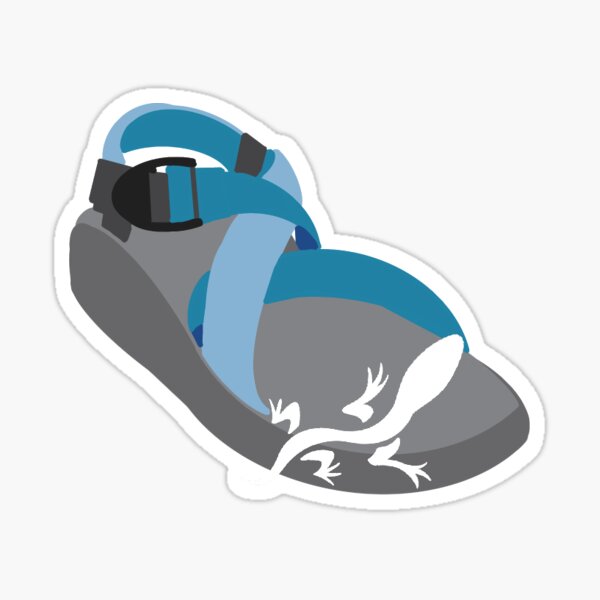 Chacos And Tacos Gifts Merchandise for Sale Redbubble