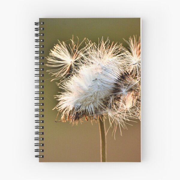 Item preview, Seeds of Hope designed and sold by Respite Artwork.