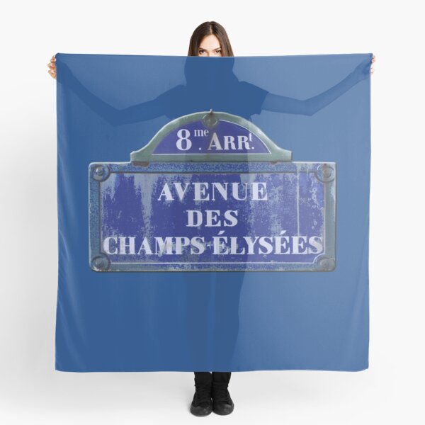 Aperçu de l'œuvre Champs Elysées 8e Arrondissement de Paris créée et vendue par Greenbaby.