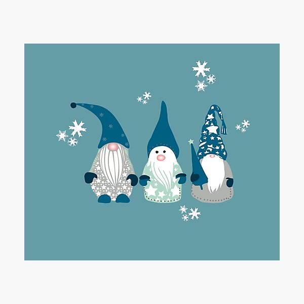 Trio of Gnomes Photographic Print