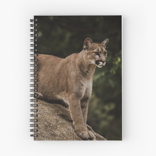 Item preview, Wild Cat designed and sold by naturaleva.