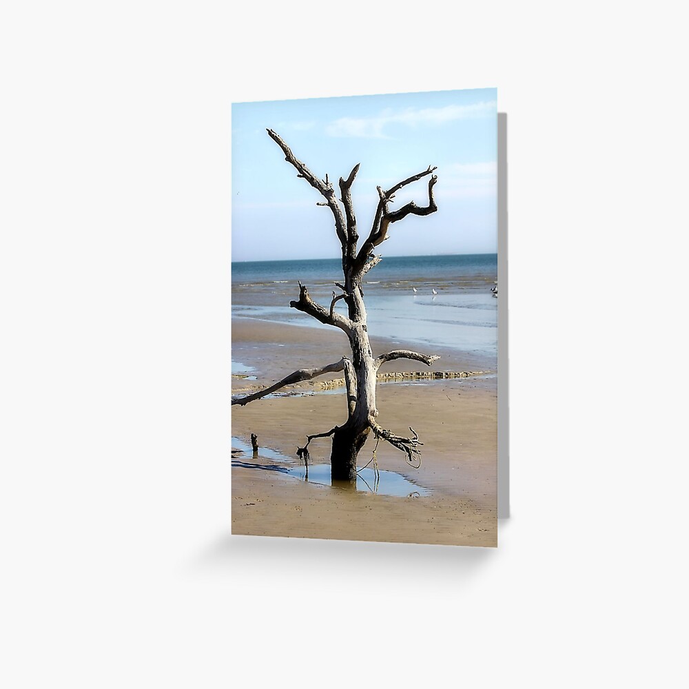 Item preview, Greeting Card designed and sold by SuddenJim.