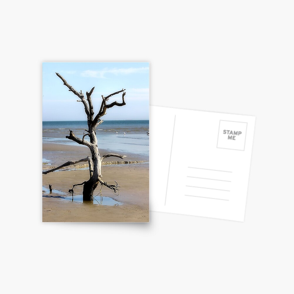 Item preview, Postcard designed and sold by SuddenJim.