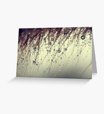 In her memory. Greeting Card