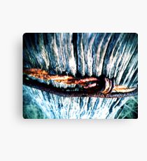 Rusty Canvas Print