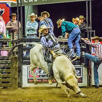 Artwork thumbnail, Bull Rider by RedChevy