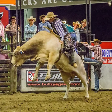 Artwork thumbnail, Bull Rider by RedChevy