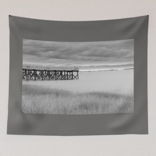 Aperçu de l'œuvre Jetée sur Calf Pasture Beach Connecticut sous un ciel couvert en monochrome maussade Merveilleux pour une impression d'art sur votre mur, ou même un t-shirt. créée et vendue par Brian Scantlebury.