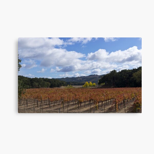 Paso Robles Autumn Canvas Print