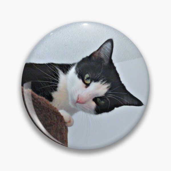 Item preview, What's All The Racket? designed and sold by Vince Scaglione.