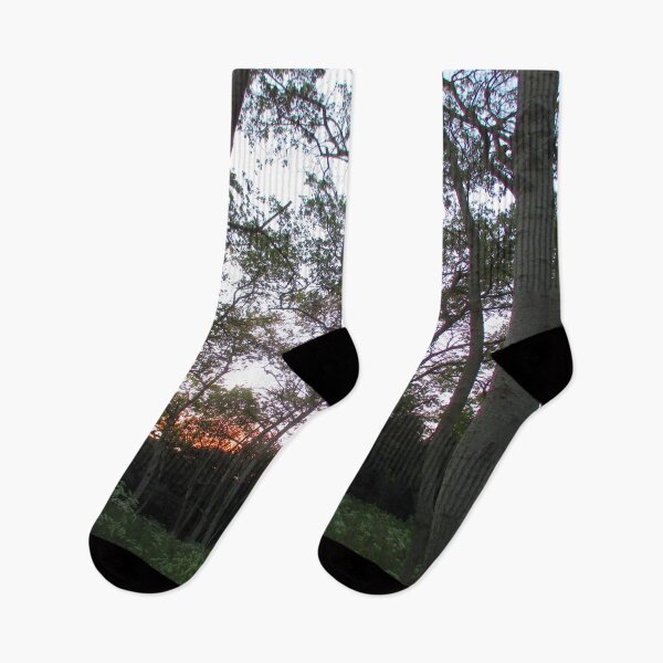 Item preview, Woodland Sunset  designed and sold by Andrew Morrell.