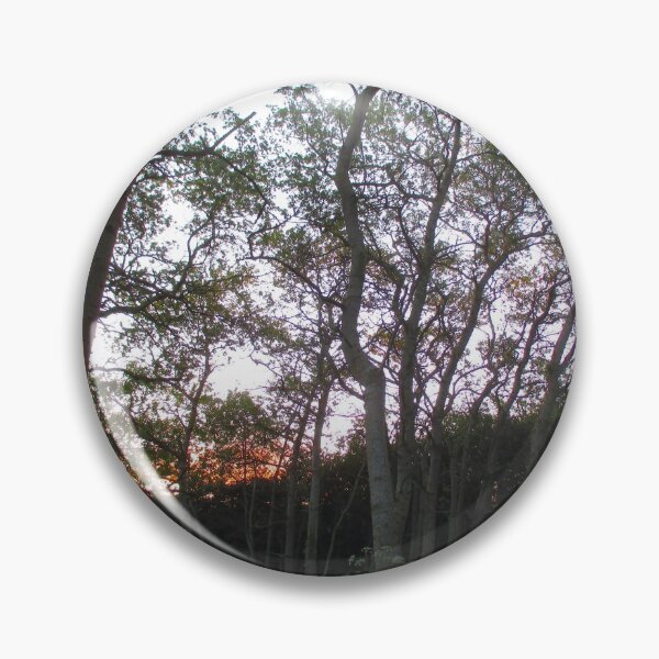 Item preview, Woodland Sunset  designed and sold by Andrew Morrell.