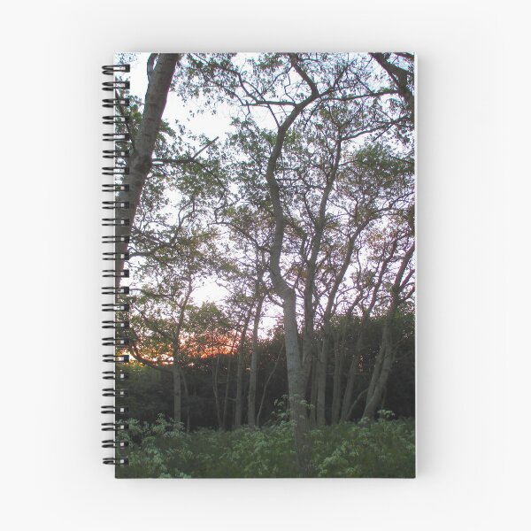 Item preview, Woodland Sunset  designed and sold by Andrew Morrell.