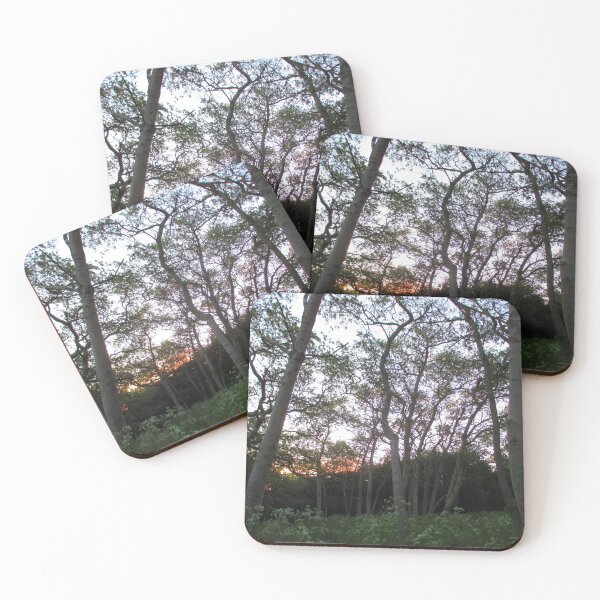 Item preview, Woodland Sunset  designed and sold by Andrew Morrell.