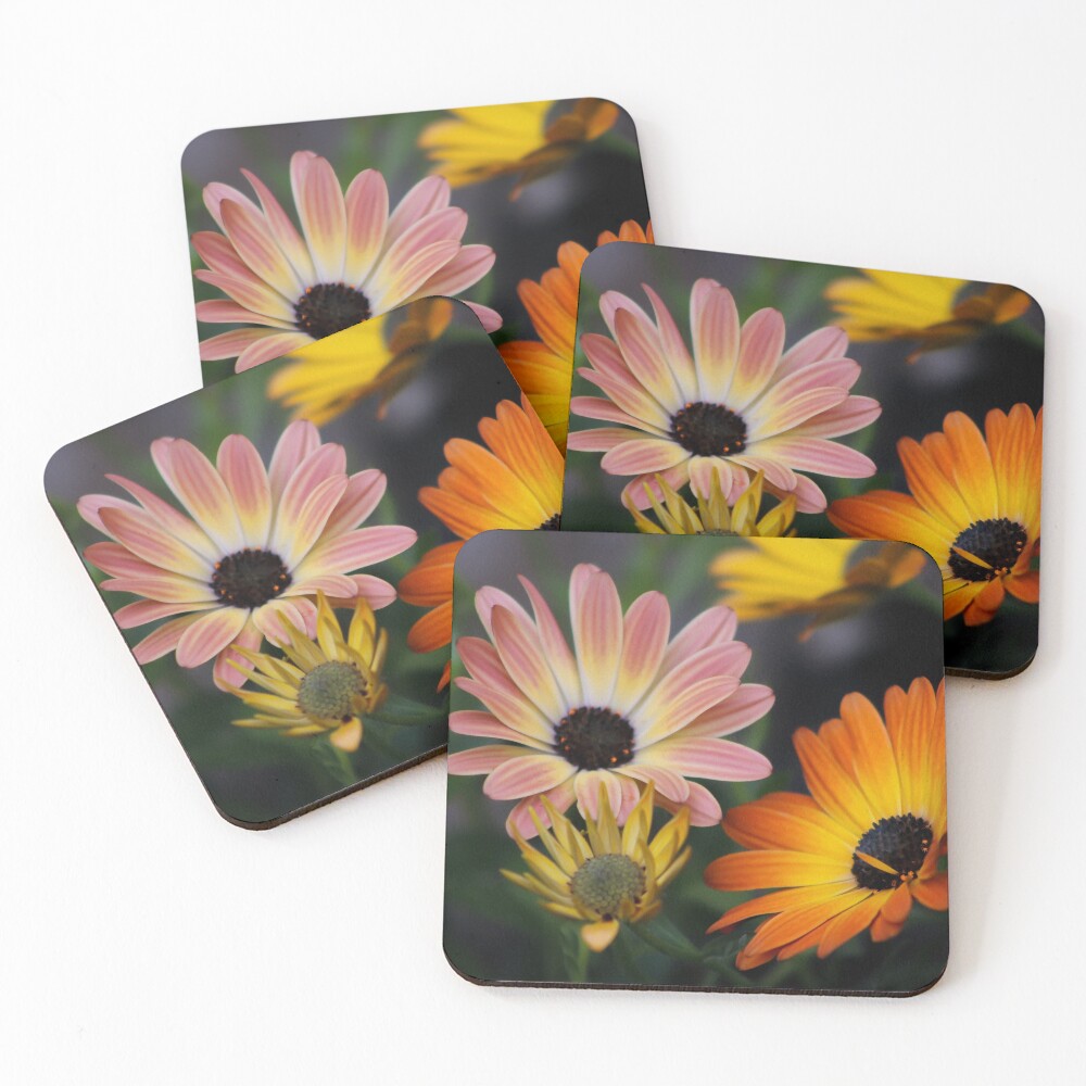 Item preview, Coasters (Set of 4) designed and sold by OhSnapPhoto.