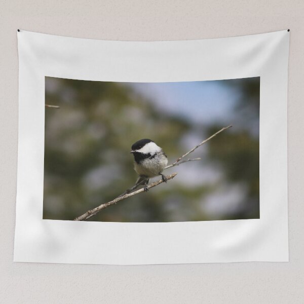 Item preview, Little Chickadee designed and sold by OhSnapPhoto.