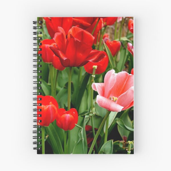 Item preview, Tulips designed and sold by Bloo-Berry.