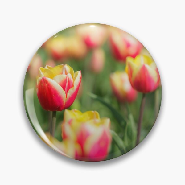 Artikelvorschau, Tulpen entworfen und verkauft von heidipics.