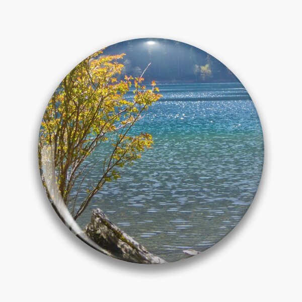 Item preview, NEW TREE FINDS ROOT IN OLD TREE designed and sold by Elaine Bawden.
