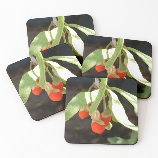 Item preview, Hanging Goji Berry designed and sold by KiQBoutique.
