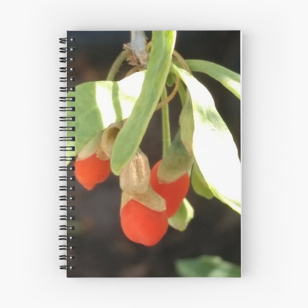 Item preview, Hanging Goji Berry designed and sold by KiQBoutique.